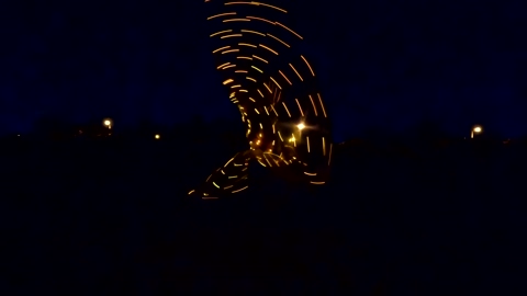 honeyand_thebear  03-08-2022
